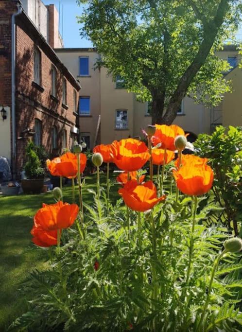 City Appartement Mit Garten, Zentral Und Trotzdem Ruhig Cottbus Exterior foto